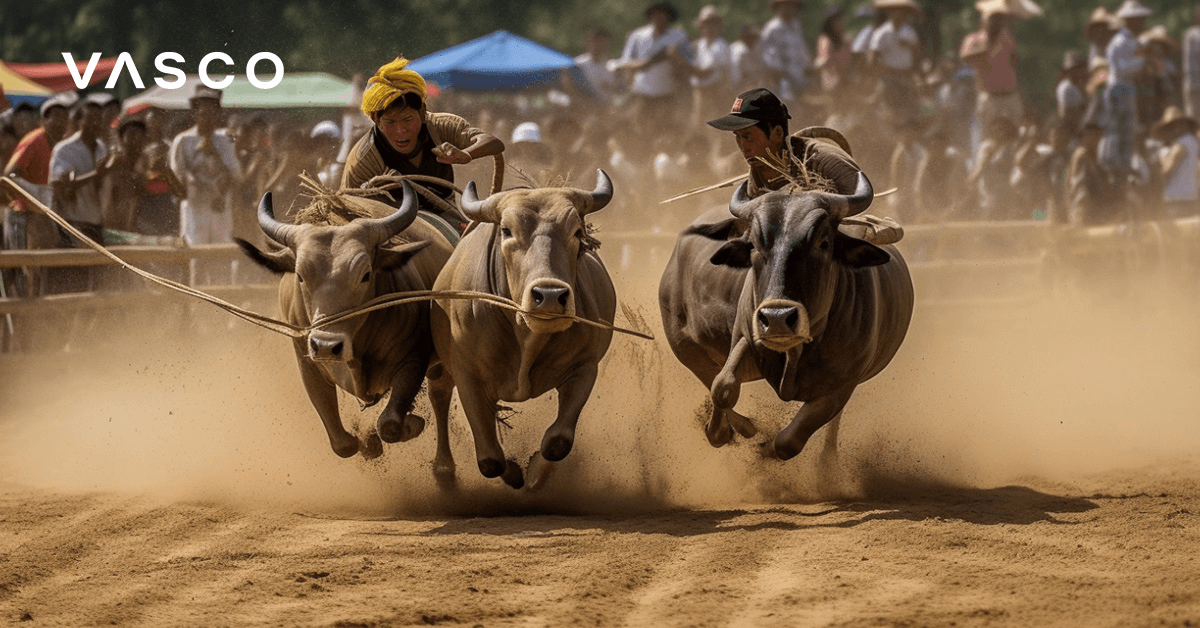 Das Büffelrennen in Chonburi ist eine Tradition Thailands.