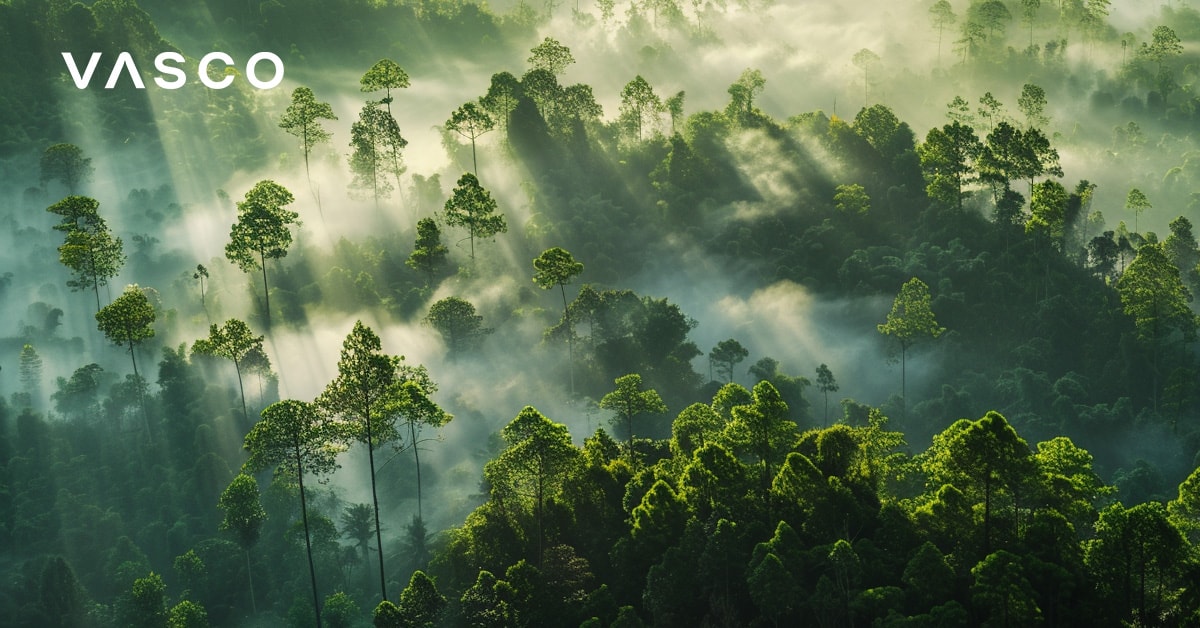 Üppiger grüner Wald mit Nebel und Sonnenlicht.