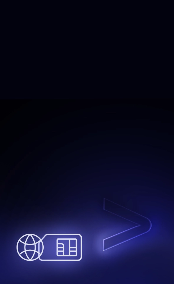 Icon representing free internet worldwide, a feature of Vasco devices.